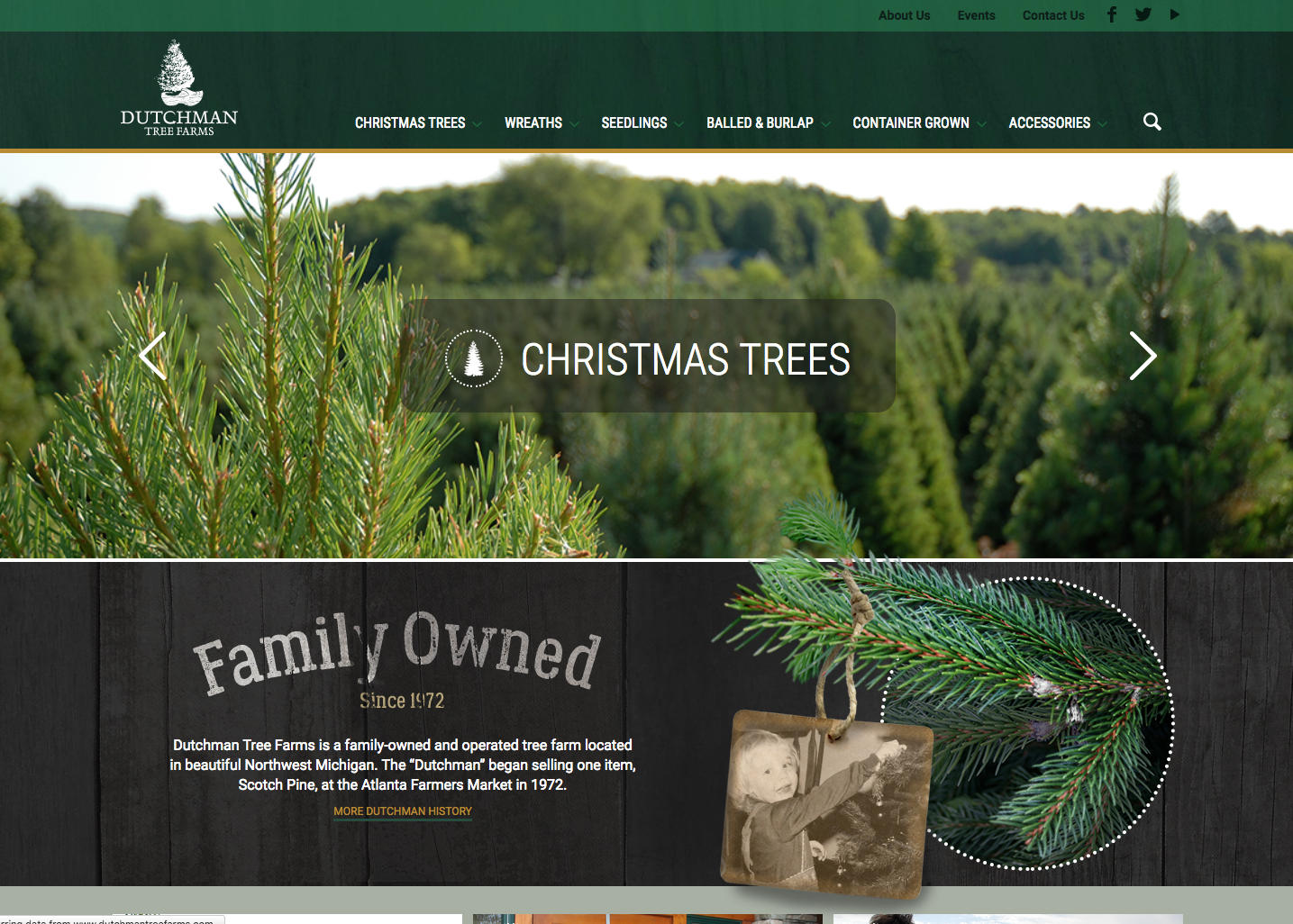 Dutchman Tree Farms