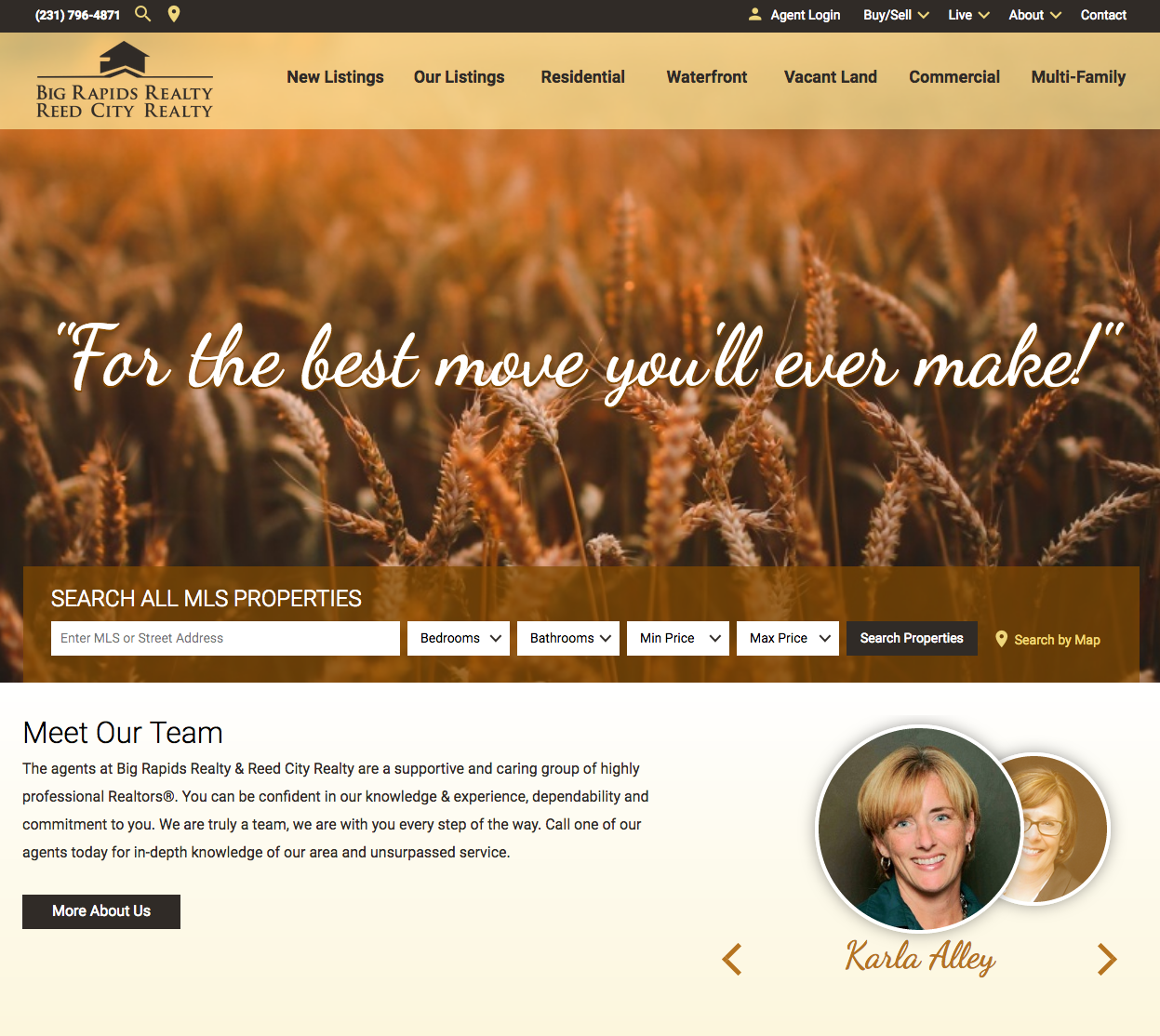 big rapids realty reed city realty website 